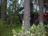 2003_0605_170019AA.jpg